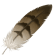 Indigenous Tribes